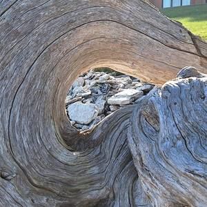 Meet your Posher, Penny